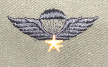 Vietnamese (RVN) Parachute Qualification Badge. Embroidered, Color
