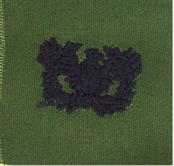 Warrant Officer Branch of Service, Sew-On Subd.