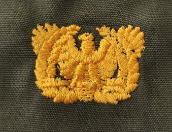 Warrant Officer Branch of Service, Sew-On Color