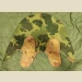 Helmet Cover, Mitchell Pattern, Original (EXC) - Thumbnail 1