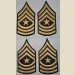 Sergeant Major (SGM) Color Sleeve Set - Thumbnail 2