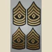 First Sergeant (1SG) Color Sleeve Set  - Thumbnail 2