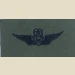 Army Aircraft Crewman Badge, Master. Subdued - Thumbnail 1