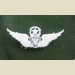 Army Aircraft Crewman Badge, Master. Color - Thumbnail 1