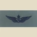 Army Aircraft Crewman Badge, Senior. Subdued - Thumbnail 1