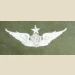 Army Aircraft Crewman Badge, Senior. Color - Thumbnail 1
