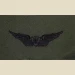 Army Aircraft Crewman Badge, Basic. Subdued. - Thumbnail 1