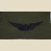 Army Aviator Qual Badge, Basic. Subdued. - Thumbnail 1