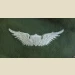 Army Aviator Qual Badge, Basic. Color - Thumbnail 1