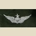 Army Aviator Qual Badge, Senior. Color - Thumbnail 1