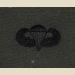 Parachutist Qualification Badge, Basic. Subdued. - Thumbnail 1