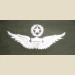 Army Aviator Qual Badge, Master. Color - Thumbnail 1