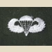Parachutist Qualification Badge, Basic. Color. - Thumbnail 1