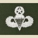 Parachutist Qualification Badge, Master. Color - Thumbnail 1