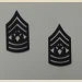 Command Sergeant Major (CSM) Pin-On Subd. - Thumbnail 1