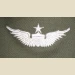 Army Aviator Qual Badge, Senior. Color - Thumbnail 2
