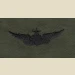 Army Aviator Qual Badge, Senior. Subdued. - Thumbnail 1