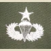 Parachutist Qualification Badge, Senior. Color - Thumbnail 2