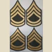 Sergeant 1st Class (SFC) Color Sleeve Set - Thumbnail 2