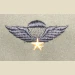 Vietnamese (RVN) Parachutist Qualification Badge. Embroidered, Color - Thumbnail 1