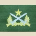 Vietnamese (RVN) Ranger Qualification Badge.Woven. - Thumbnail 1