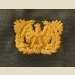 Warrant Officer Branch of Service, Sew-On Color - Thumbnail 1